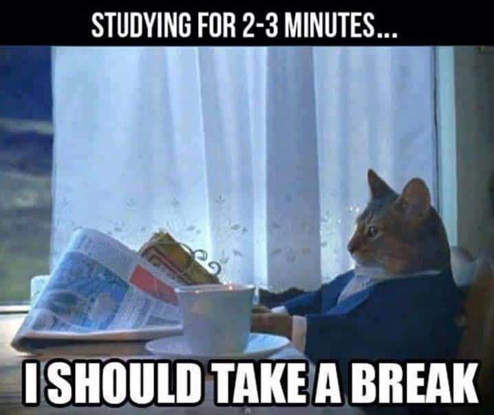 For the most effective IB studies you need to take study breaks