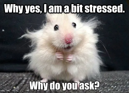 Stressed mouse